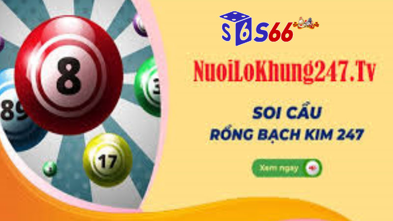 Cách Thực Hiện Rồng Bạch Kim 247